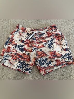 Marine Layer Men’s Tropical Palm Print Swim Trunks in Coral & Navy